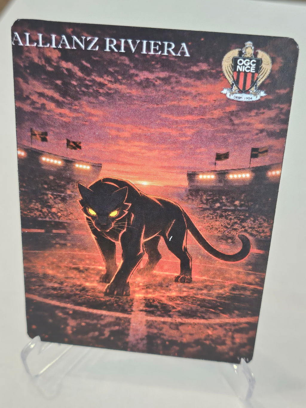 Allianz Riviera
